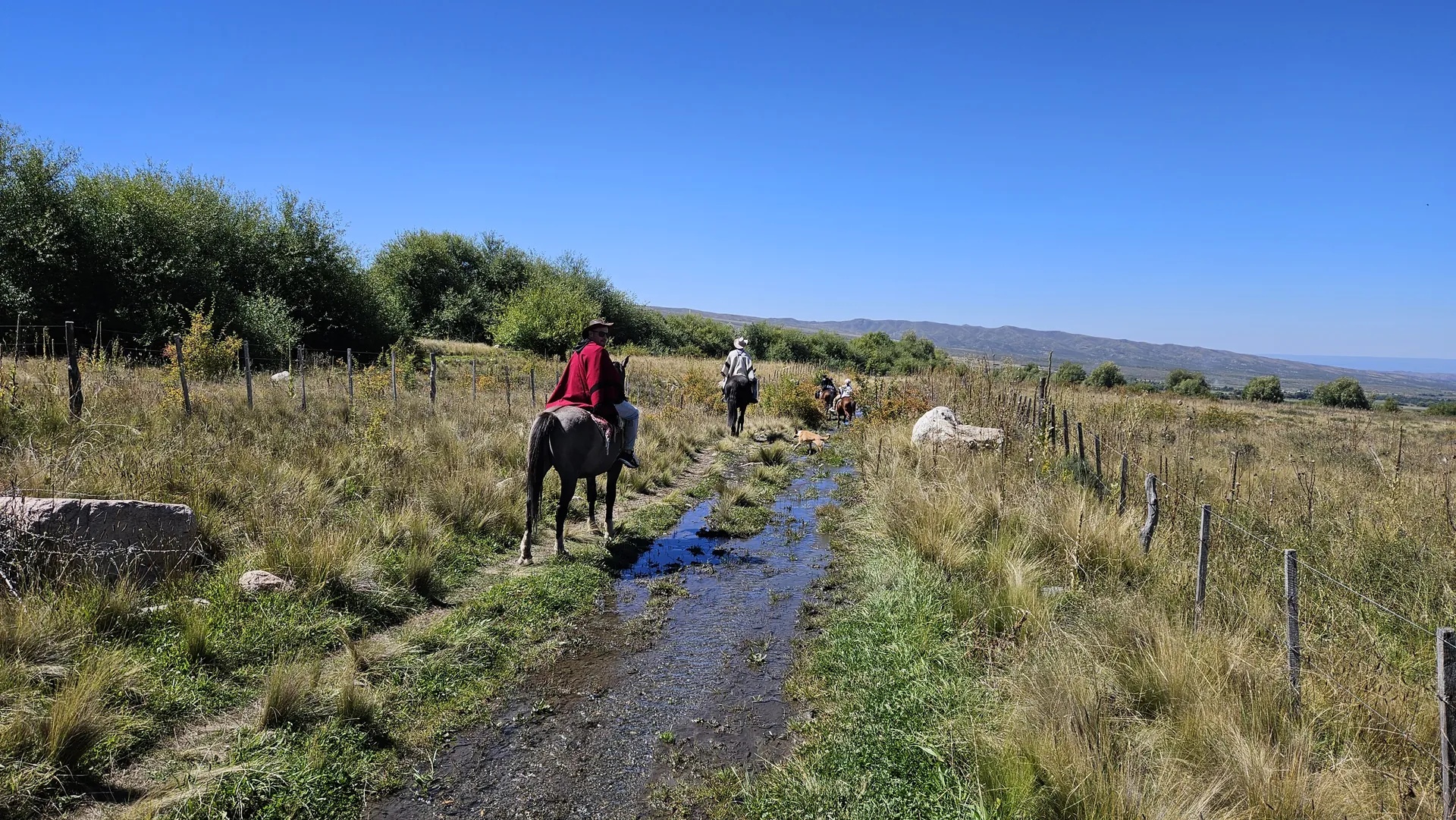 Estancia y Cabalgata
