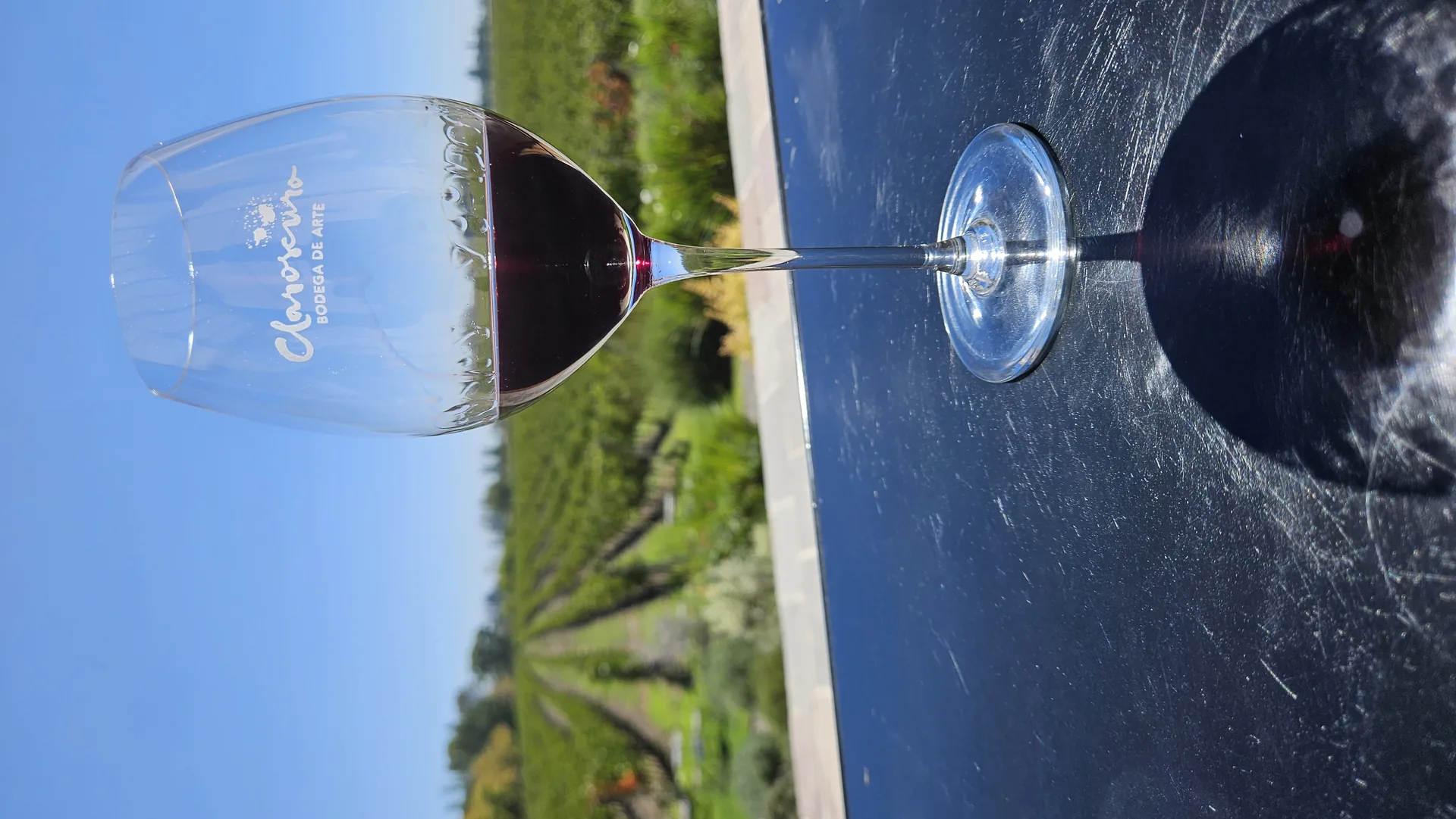 Los Caminos del Vino — Guía práctica Mendoza