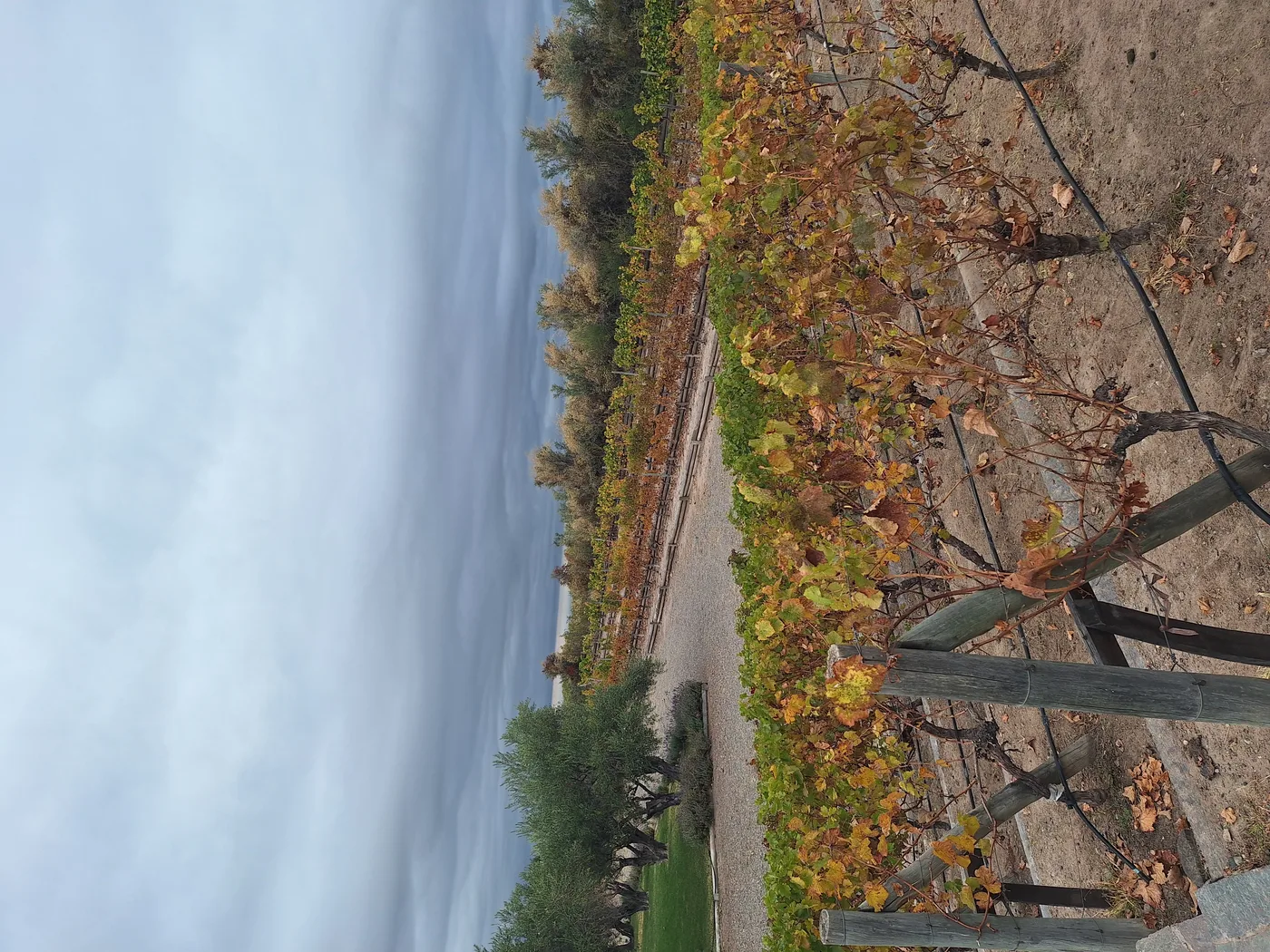Ranch & Horseback Ride