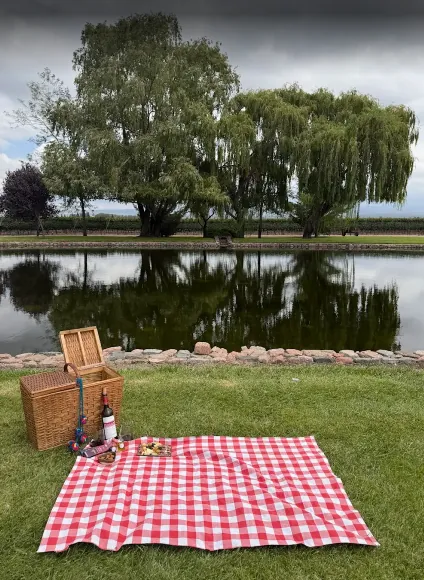 Picnic en Bodegas
