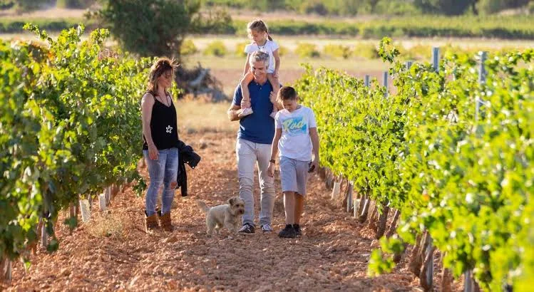 Tours familiares en Mendoza