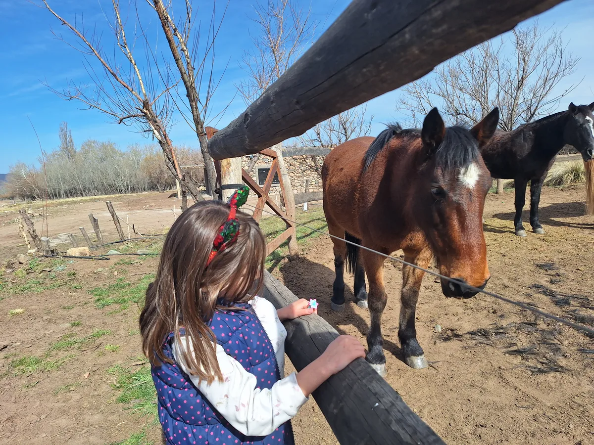Vacaciones de Invierno con los Chicos