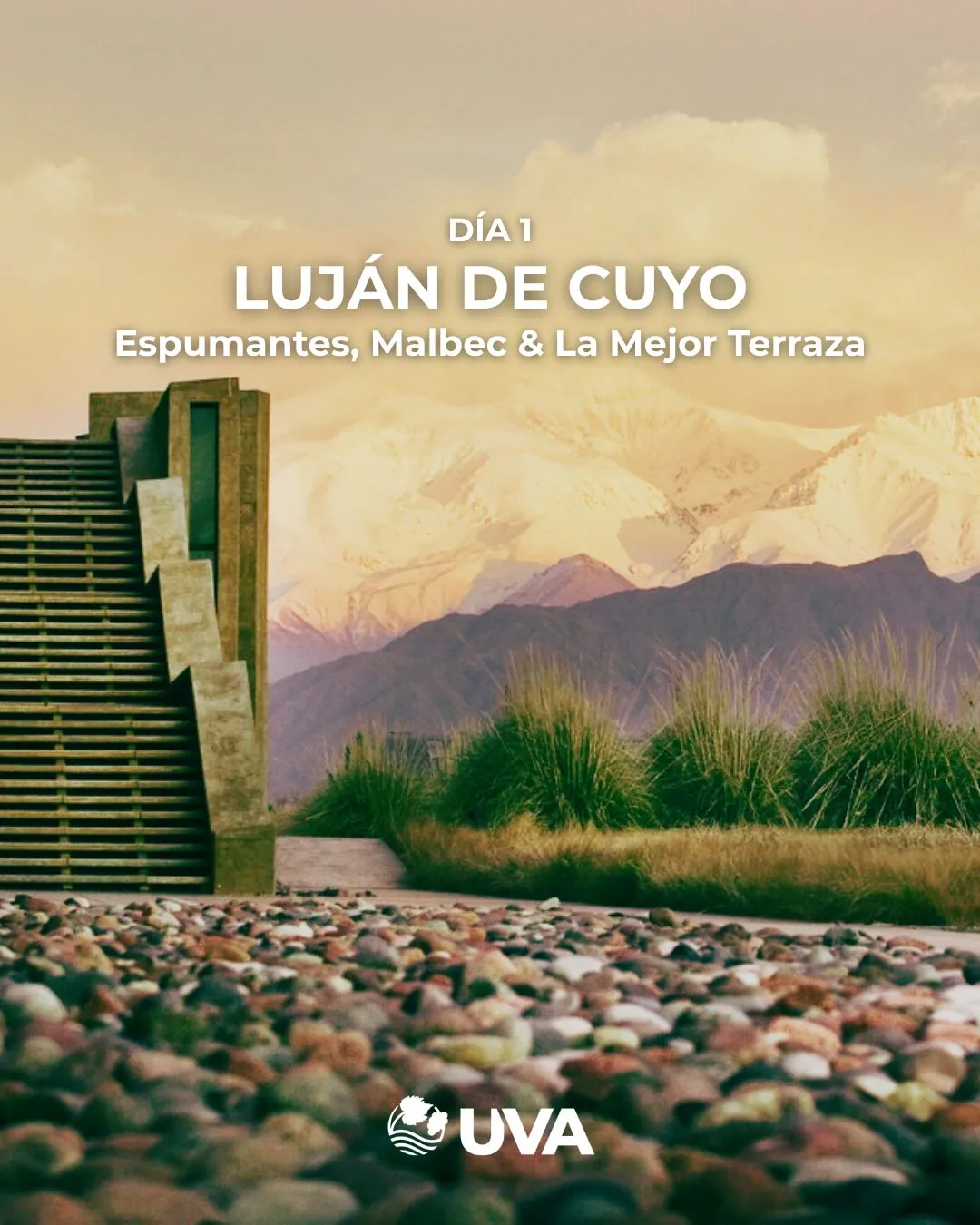 Luján de Cuyo wine zone Mendoza