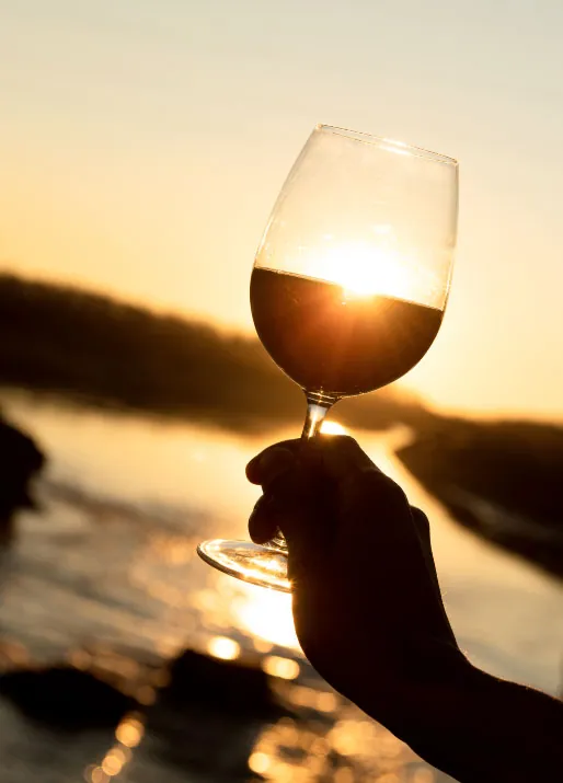 Bodegas icónicas de Luján de Cuyo, cuna del Malbec en Mendoza