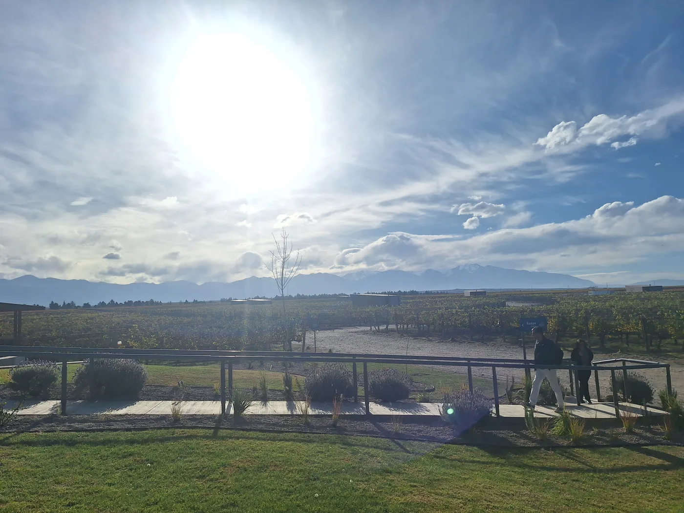 Bodegas Tendencia - Valle de Uco
