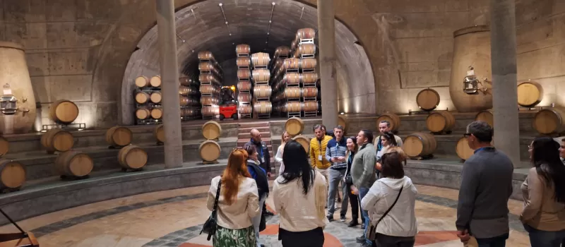 SALENTEIN & AlPASION. UCO VALLEY GROUP TOURS